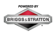 Briggs Logo Blk