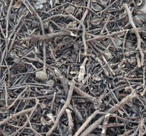 Chipping Wet vs. Dry Branches: Tips to Avoid Chipper Jams