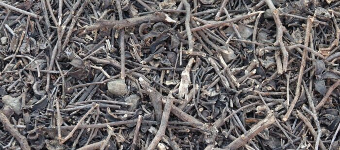 Chipping Wet vs. Dry Branches: Tips to Avoid Chipper Jams