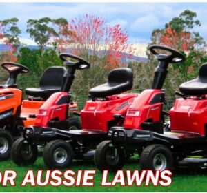 How Often Should You Service a Ride-On Mower? A Maintenance Guide